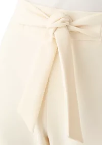 Petite Pull On Cool Crepe Pants