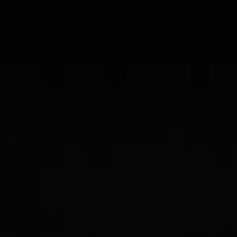 Petite Long Sleeve Front Ruched Top with Rivets