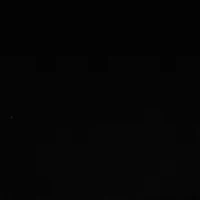 Petite Long Sleeve Front Ruched Top with Rivets