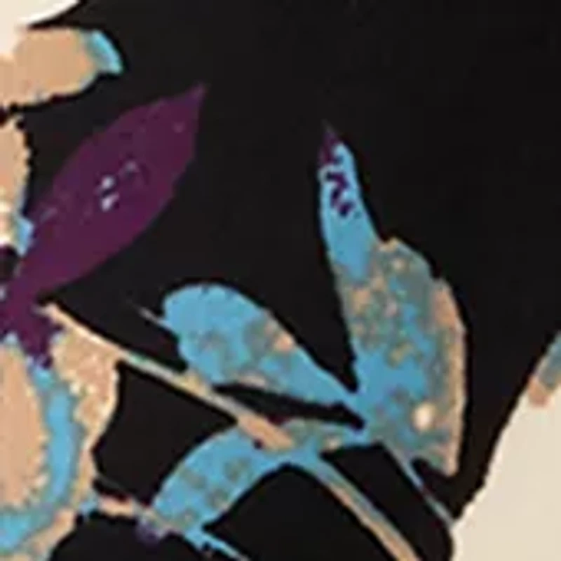 Petite 3/4 Sleeve Overexposed Floral Blouse