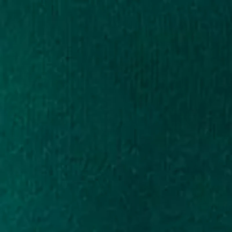 Women's V-Neck Long Sleeve with Buttons Top