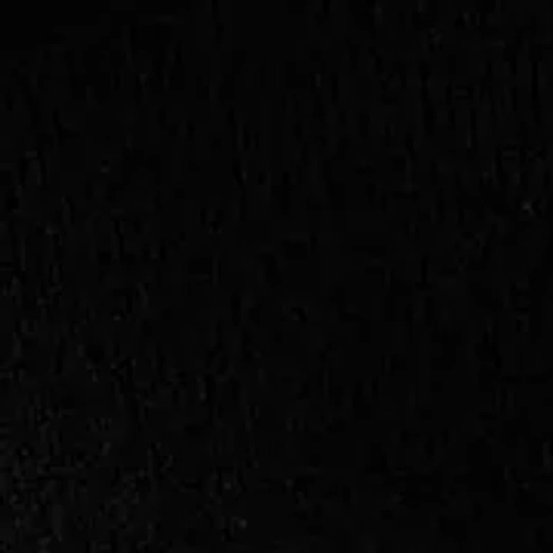 Women's Embellished Crew Neck with Puff Sleeves