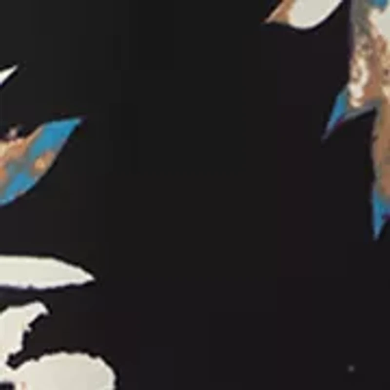 Floral V-Neck Collared Top