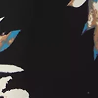 Floral V-Neck Collared Top