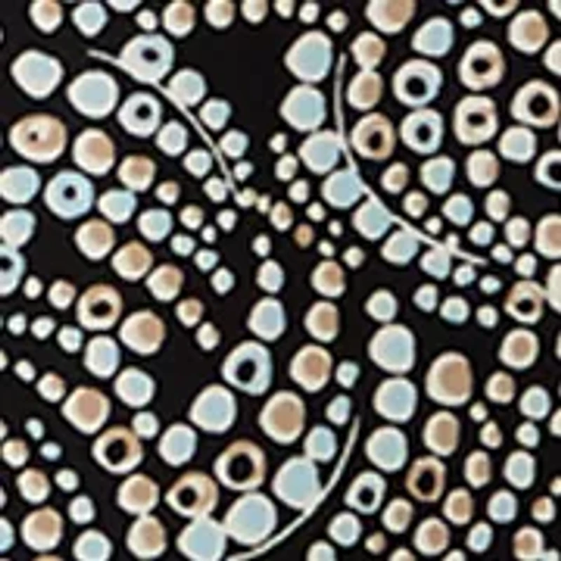 Women's Split Neck Print Blouse