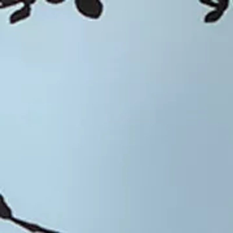 Women's Long Sleeve Split Neck Top