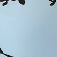 Women's Long Sleeve Split Neck Top