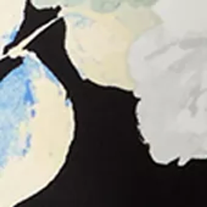 Petite 3/4 Sleeve Pleated Shoulder Blouse