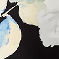 Petite 3/4 Sleeve Pleated Shoulder Blouse