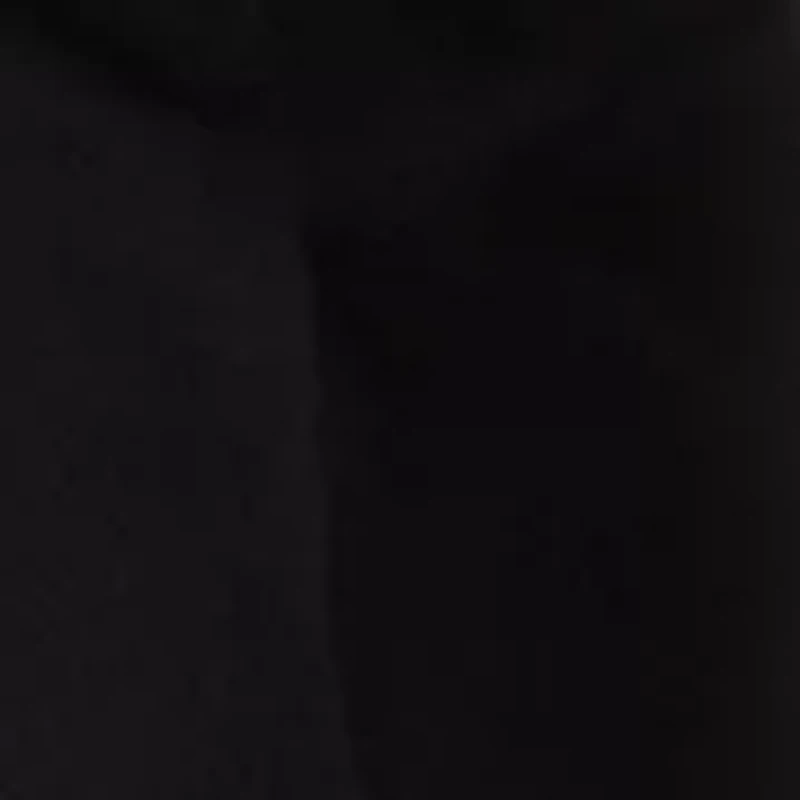 Petite Pleated Wide Leg Pants