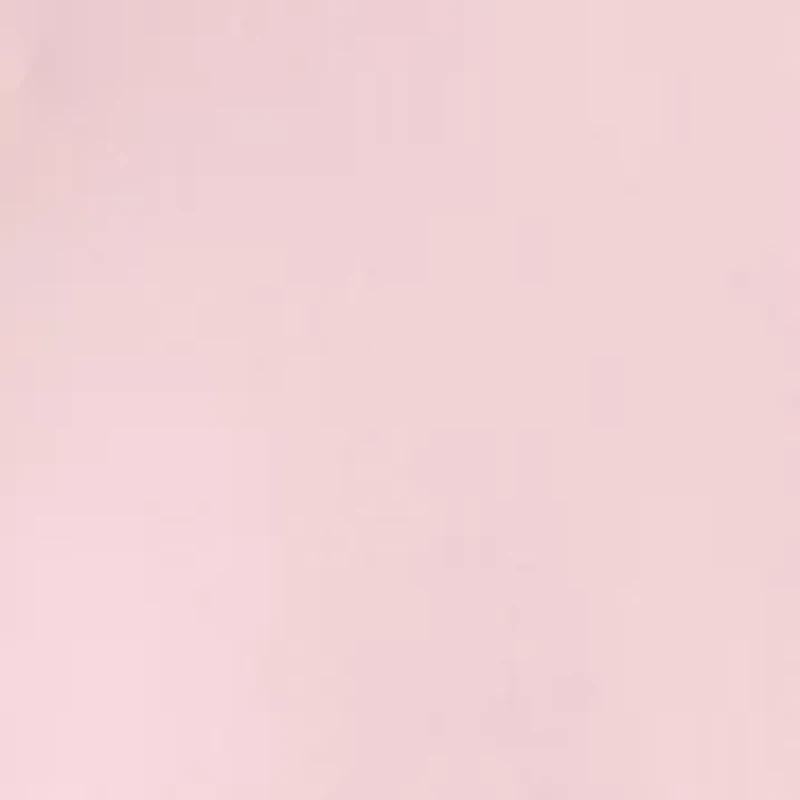 Petite High Rise Faux Fly Pleated Trousers