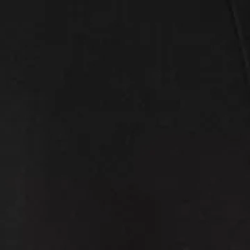 Petite Seamed Wide Leg Pants