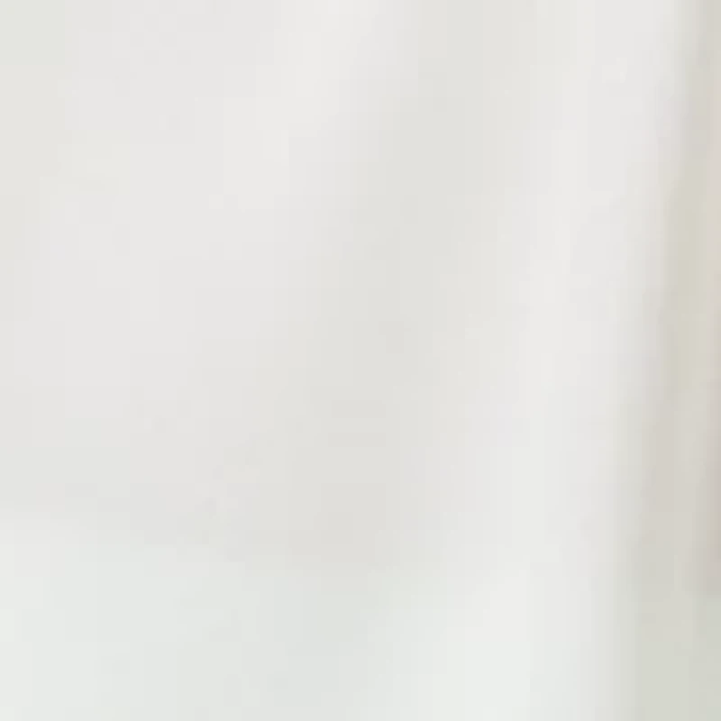 Petite V-Neck Roll Tab Sleeve Blouse