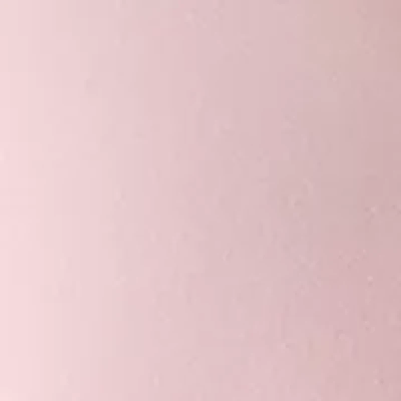 Petite Collared Button Front Shirt