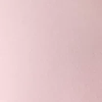 Petite Collared Button Front Shirt