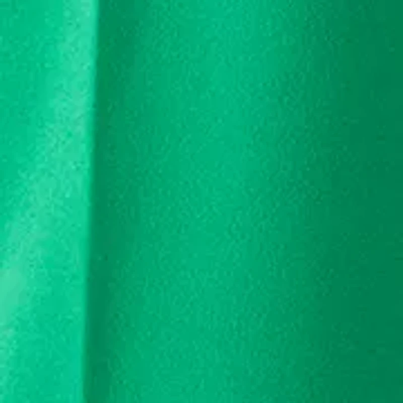Petite Pleated Wide Leg Pants