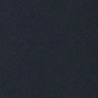 Women's Light Stream Alpine 2 1 Shorts