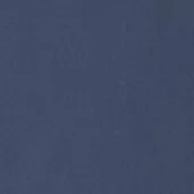 Women's Light Stream Alpine 2 1 Shorts