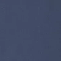 Women's Light Stream Alpine 2 1 Shorts