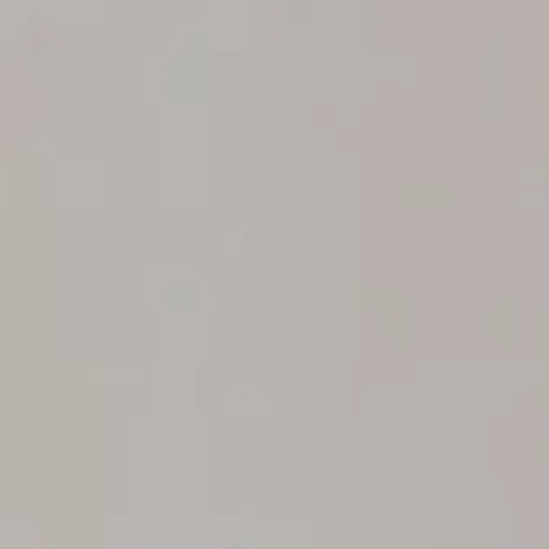 Women's Light Stream Alpine 2 1 Shorts