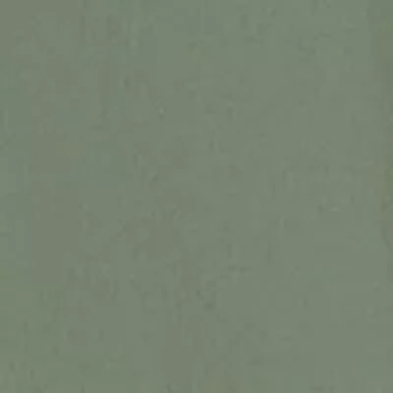 Women's Light Stream Alpine 2 1 Shorts