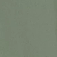 Women's Light Stream Alpine 2 1 Shorts