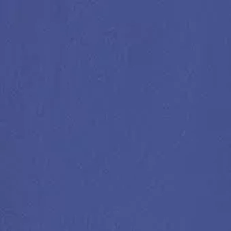 Women's Light Stream Love and Flutter Running Shorts