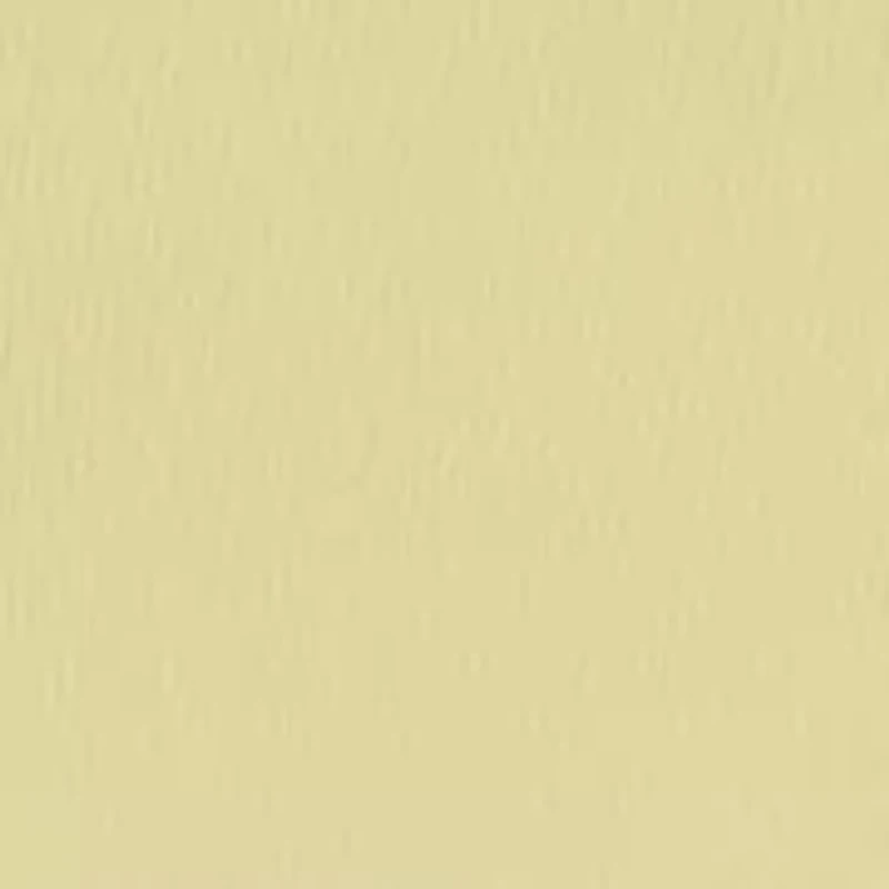 Women's Seamless Zaia Short Sleeve T-Shirt