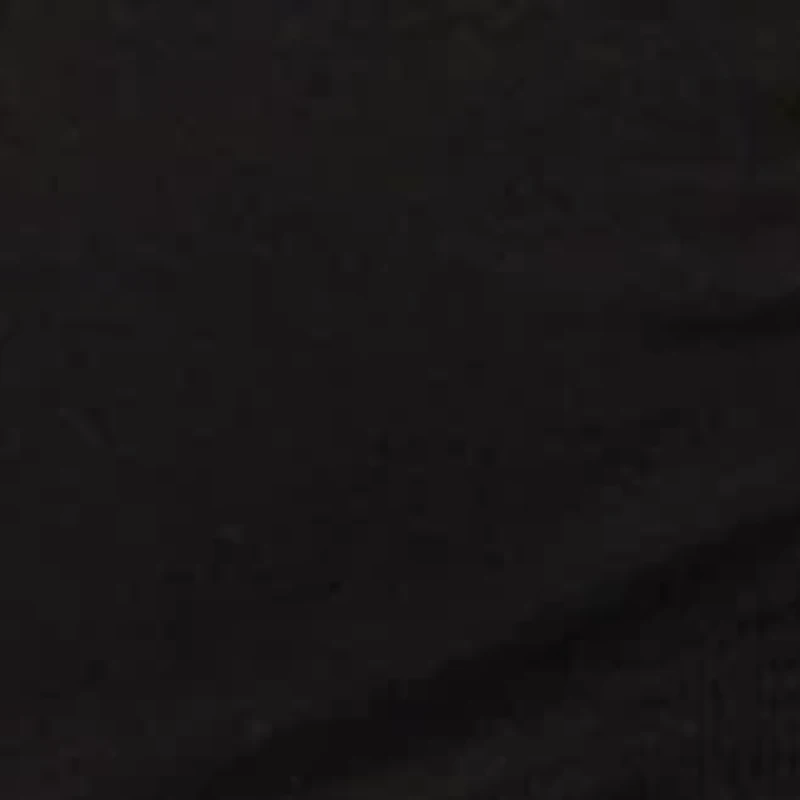 Women's Seamless Katie Zip Bra Top