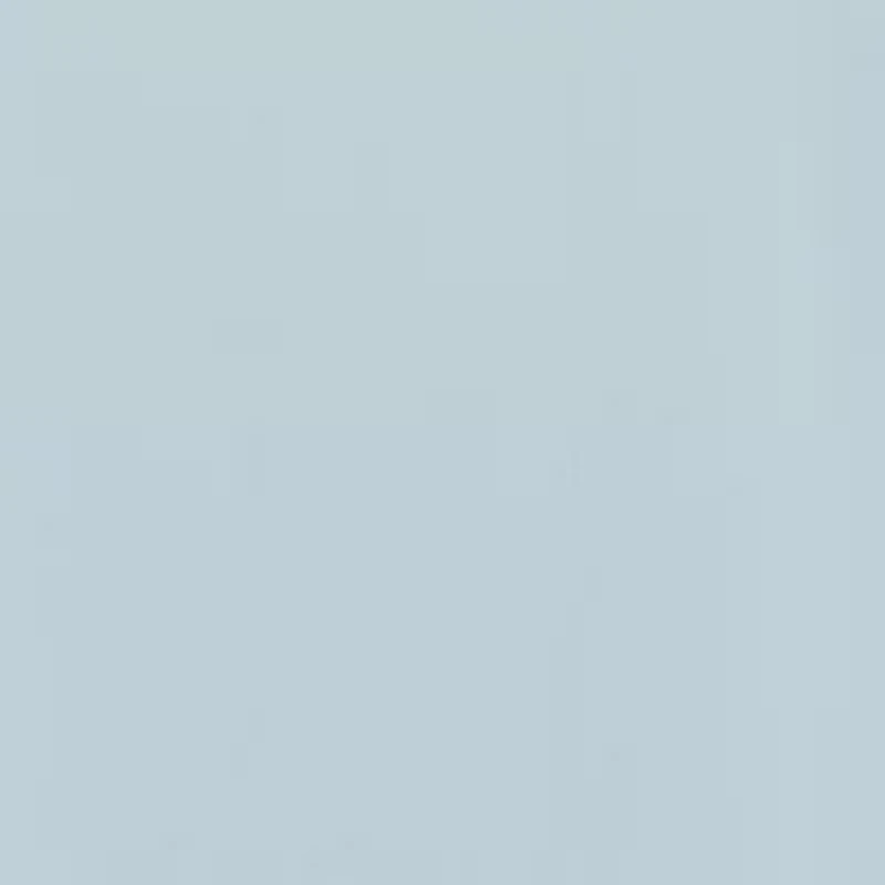 Women's Super Soft Deluxe Boxy Short Sleeve Top