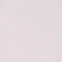 Plus Stone Washed Boxy Cropped T-Shirt