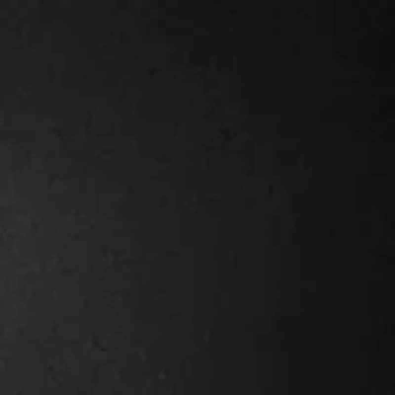 Women's Front Zip Logo Tape Jacket