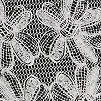 Women's Wide Leg Lace Printed Pants