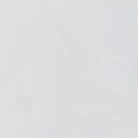 Women's Floral Blazer