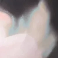 Coco Contours Cameo Halter Bra Sized Underwire Push Up Bikini Top