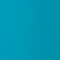 Vince Camuto Ruffle Shoulder One Piece Swimsuit