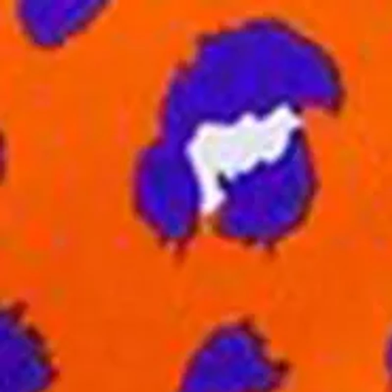 Women's Animal Print Top
