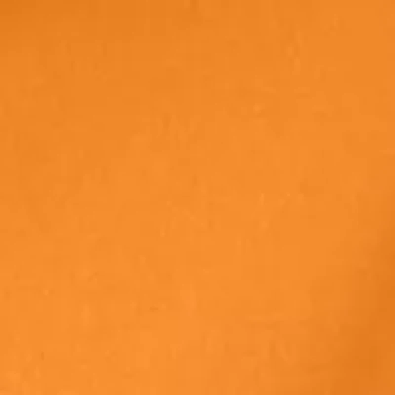 Women's Sarah Sweatshirt