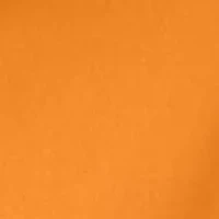 Women's Sarah Sweatshirt