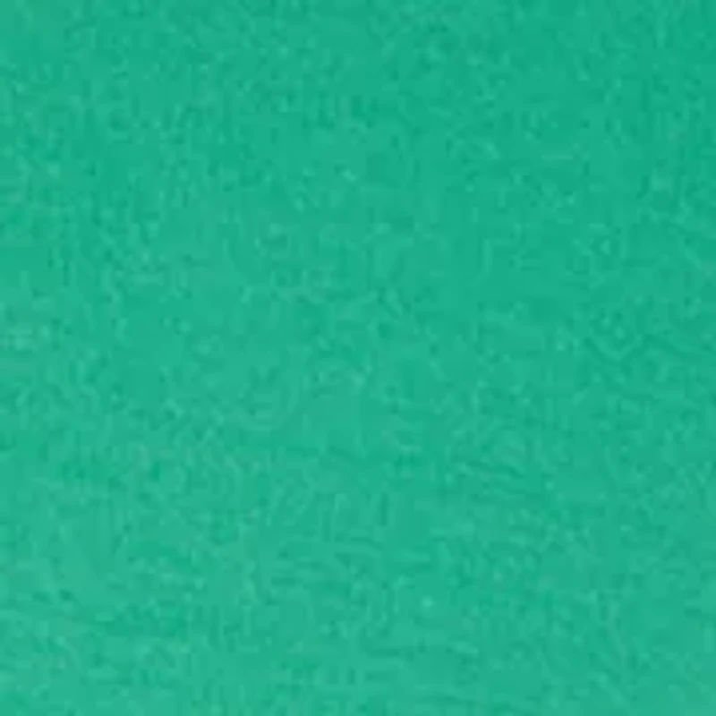 Plus Holiday Sequin Sweatshirt