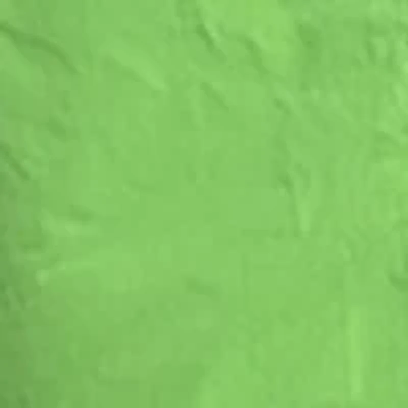 Women's Solid Smock Ruffle Sleeve Shirtdress