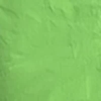 Women's Solid Smock Ruffle Sleeve Shirtdress