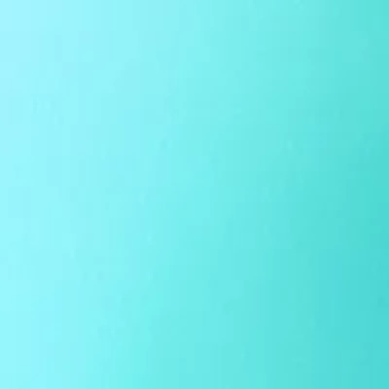 Ruffle Sleeve Banded Swim Top