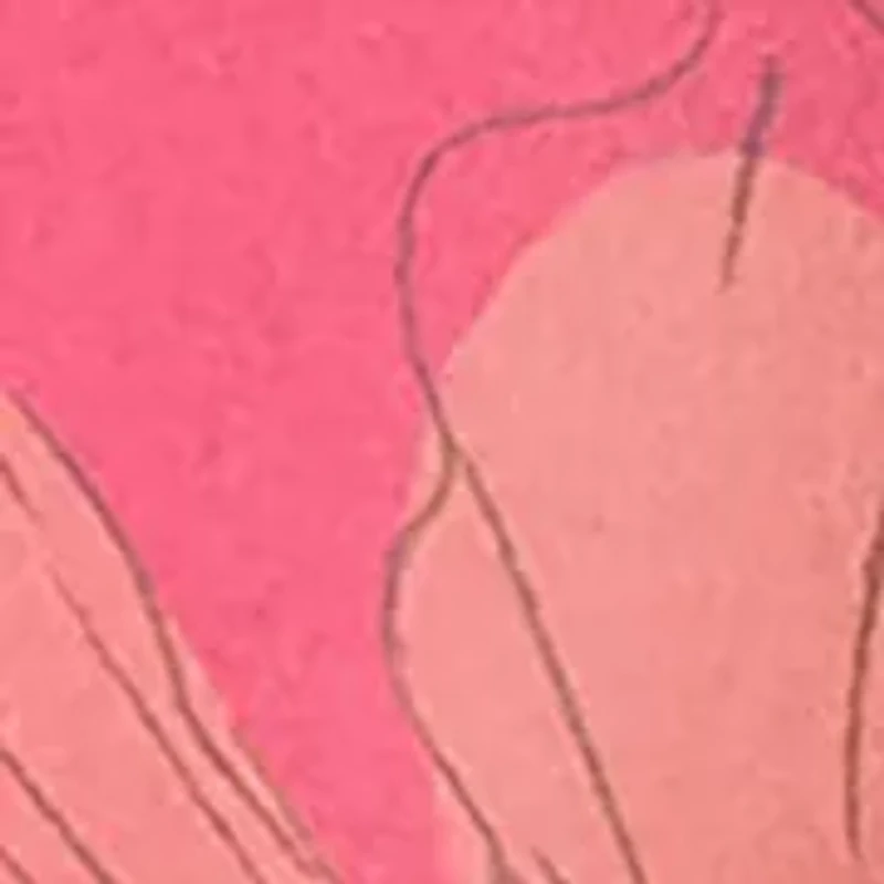 Red High Rise Shirred Swim Brief