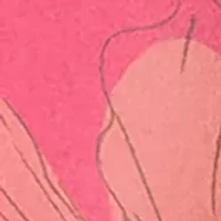 Red High Rise Shirred Swim Brief