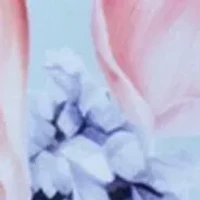 Floral High Rise Leg Swim Briefs
