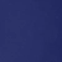 Women's Solid Shirred High Waist Bikini Bottom