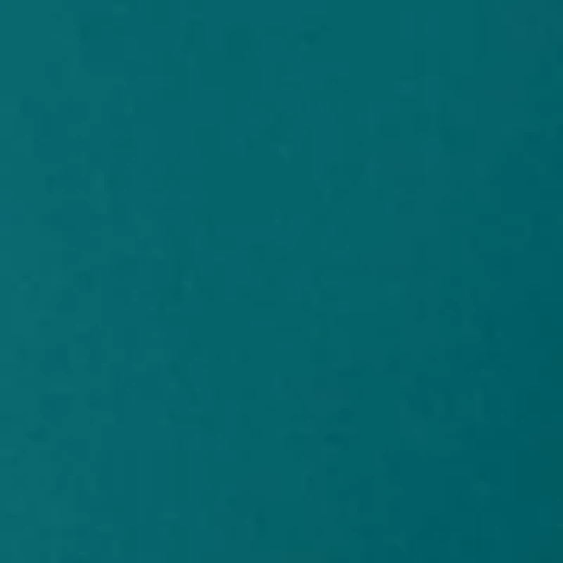 Women's Adjustable High Rise Bikini Bottom