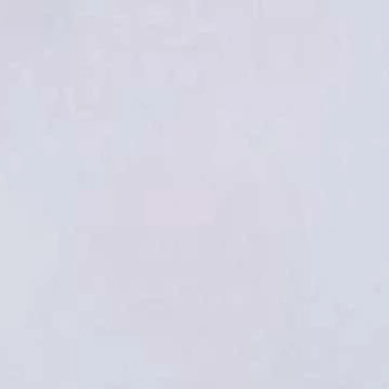 Embroidered Button-Front Top