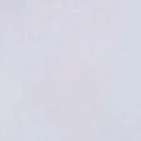 Embroidered Button-Front Top